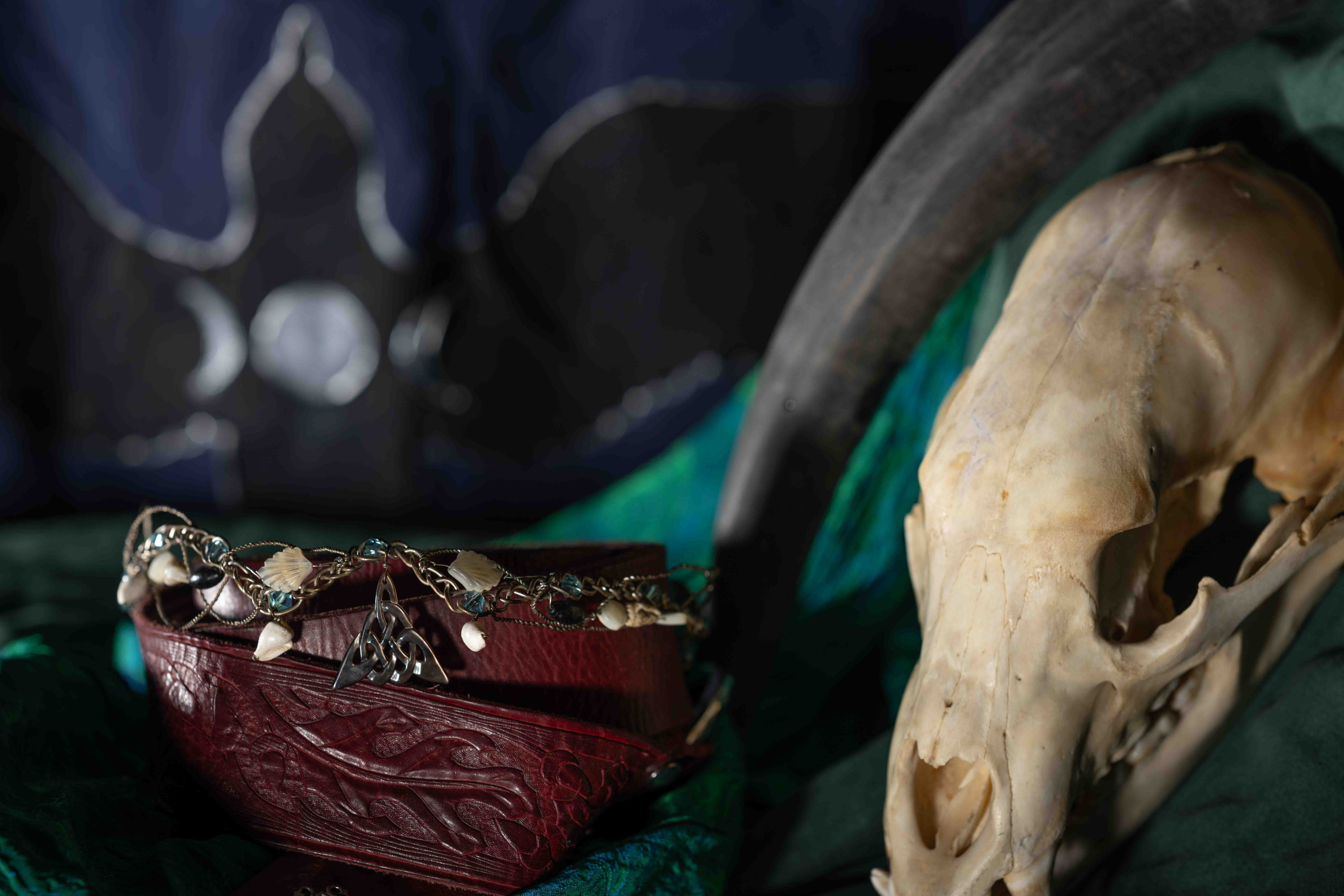 Myself in another still life