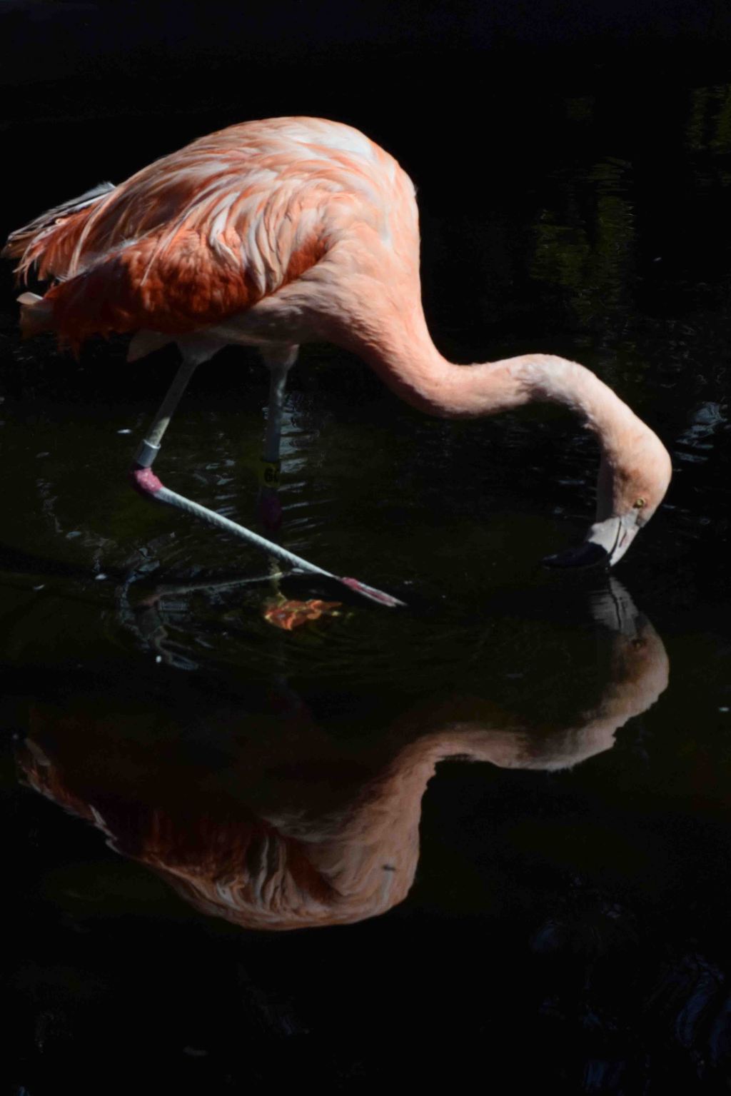 Once Upon a&nbsp;Reflection